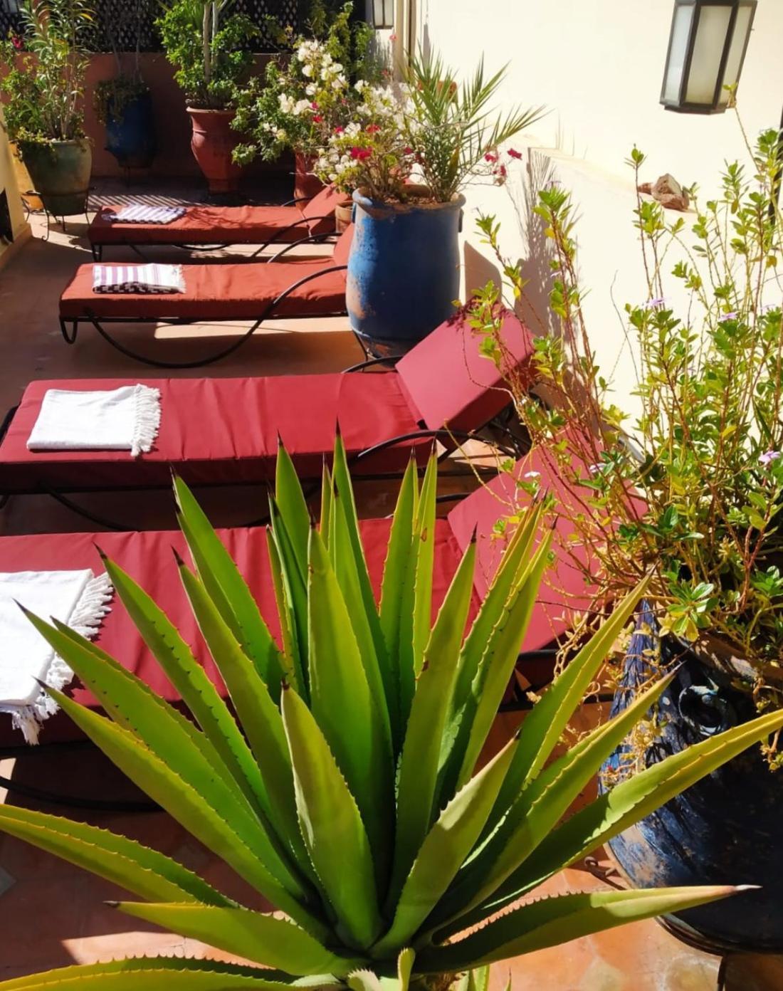 Riad Dar Zampa Marraquexe Exterior foto