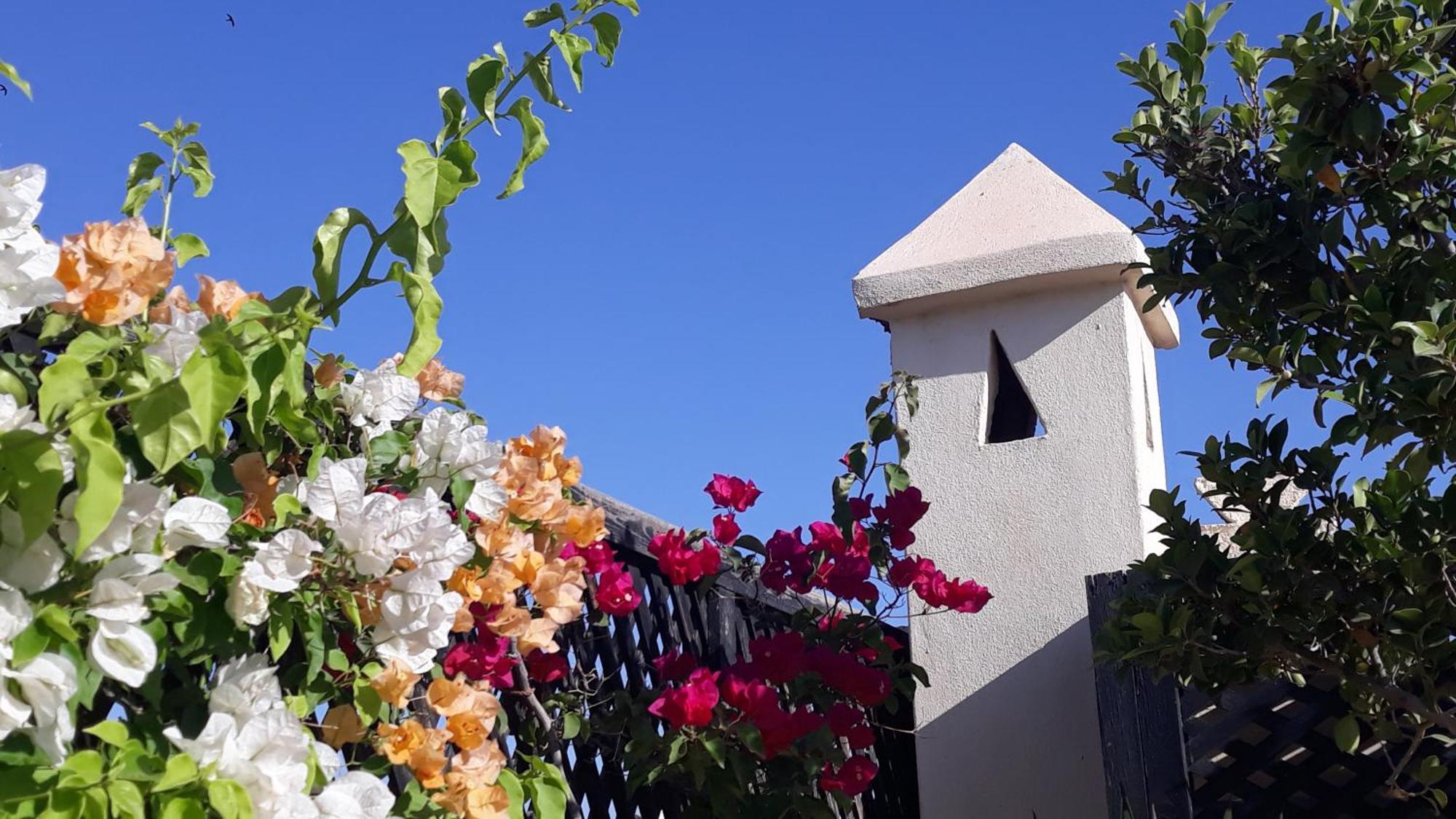 Riad Dar Zampa Marraquexe Exterior foto